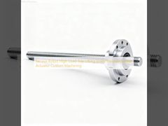 Attuatore lineare di precisione a vite per sollevamento vassoi ad alto carico per robot di servizio, lavorazione meccanica personalizzata