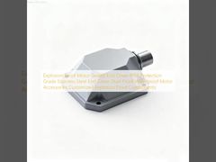 Coperchio terminale sigillato per motore antideflagrante Grado di protezione IP66 Coperchio terminale in acciaio inossidabile Antipolvere Accessori motore impermeabili Componenti antideflagranti personalizzati